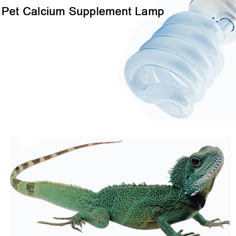 Calcium Powder Reptile - E27 13W/26W Reptile Uvb Lamp Calcium
