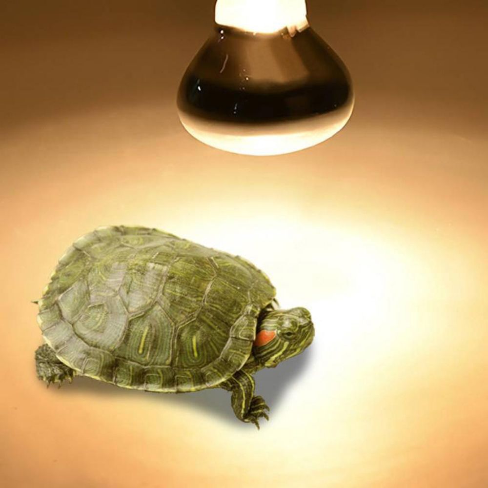 Lizard Heater Heat Lamp UVA Li - огляд і ціна Basking Bulb Halogen