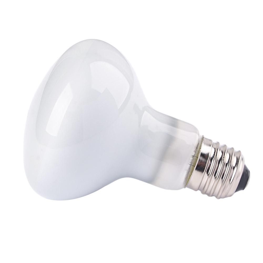 Lizard Heater Heat Lamp UVA Li - огляд і ціна Basking Bulb Halogen