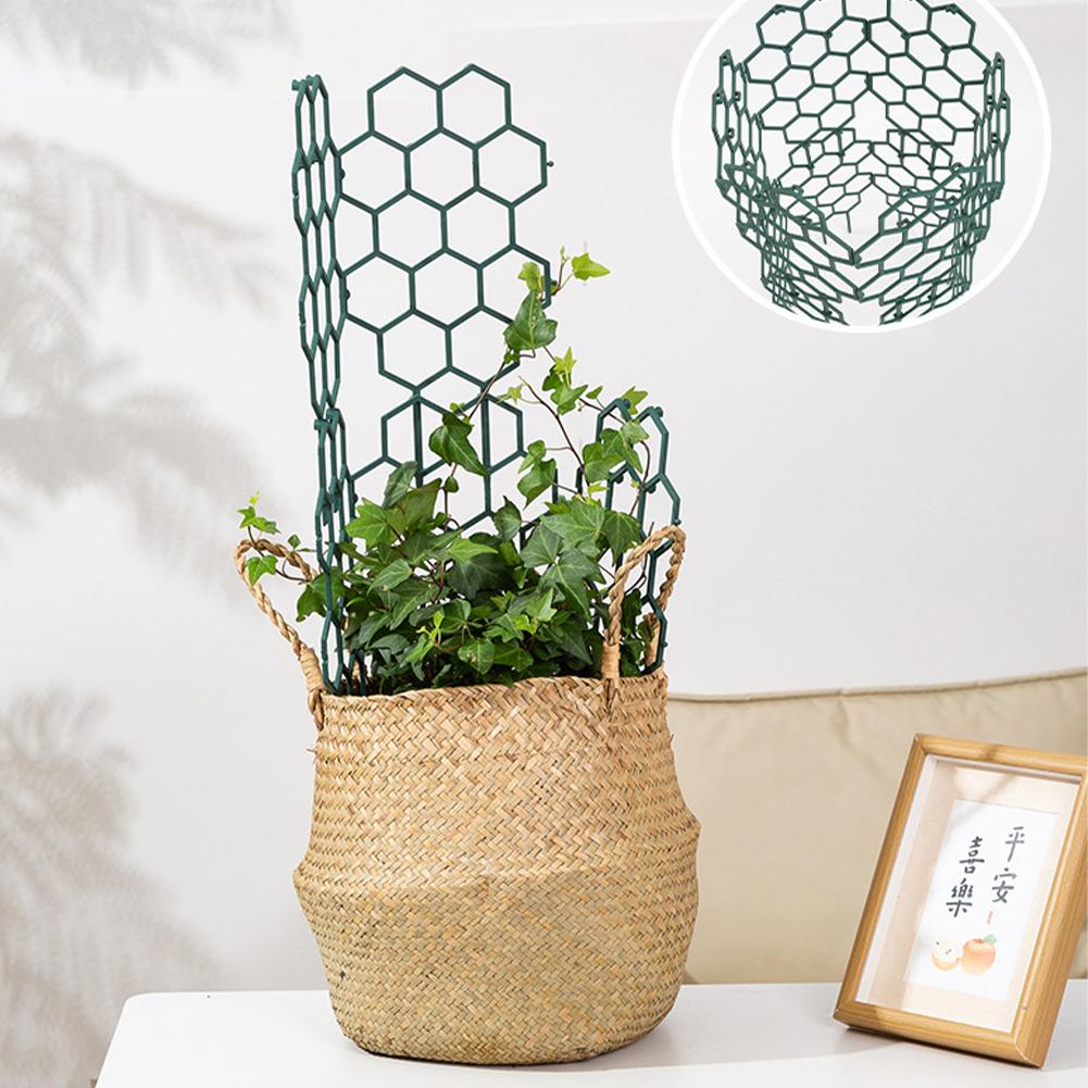1/2/5Pcs Plastic Plant Support - огляд і ціна Vine Climbing Plastic