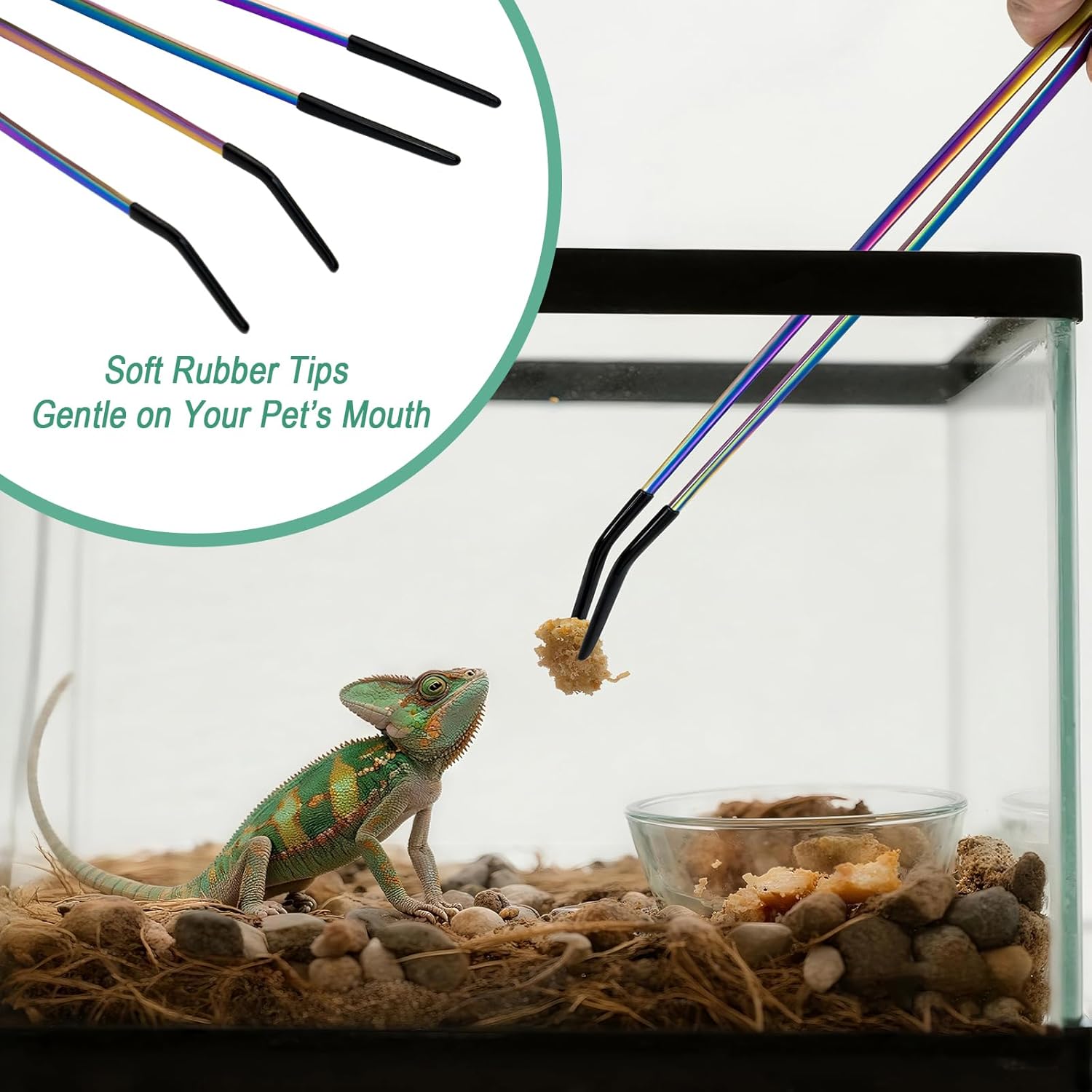 2PCS Stainless Steel Reptile F - огляд і ціна Feeding Tong Stainless