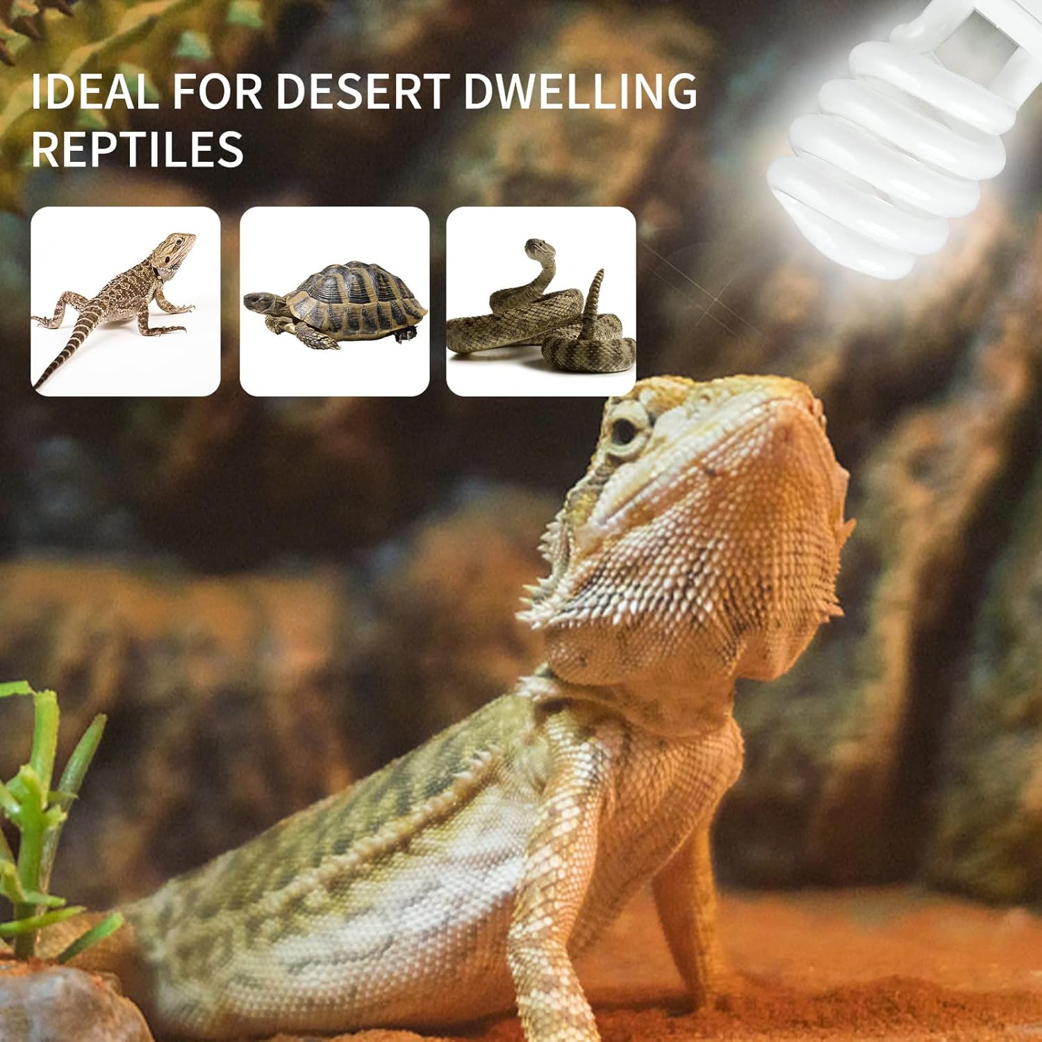 UVB 5.0 10.0 Reptile Heating L - огляд і ціна Calcium Powder Reptile