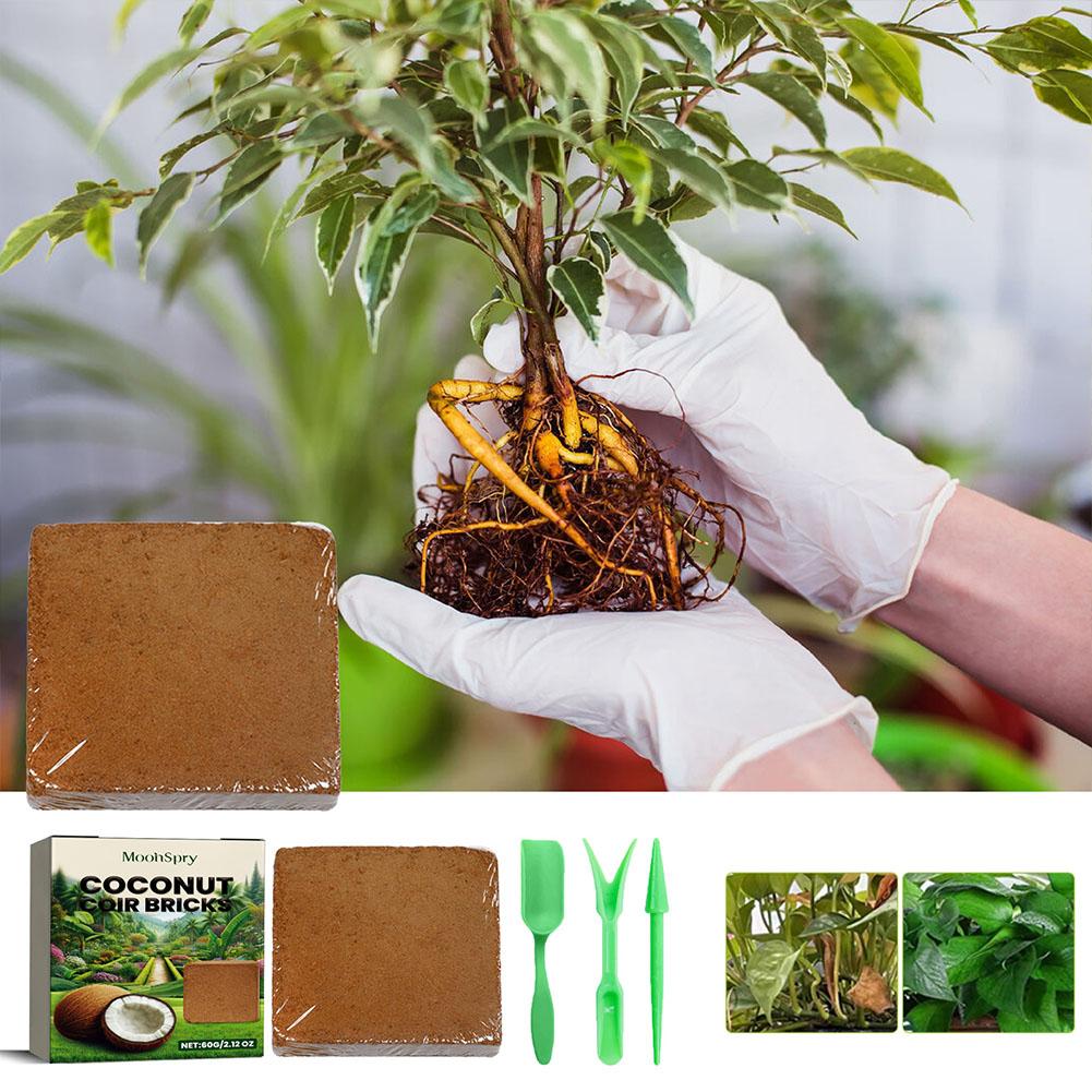 Reptile Coconut Soil Coir Pres - огляд і ціна Substrate Coconut Fiber