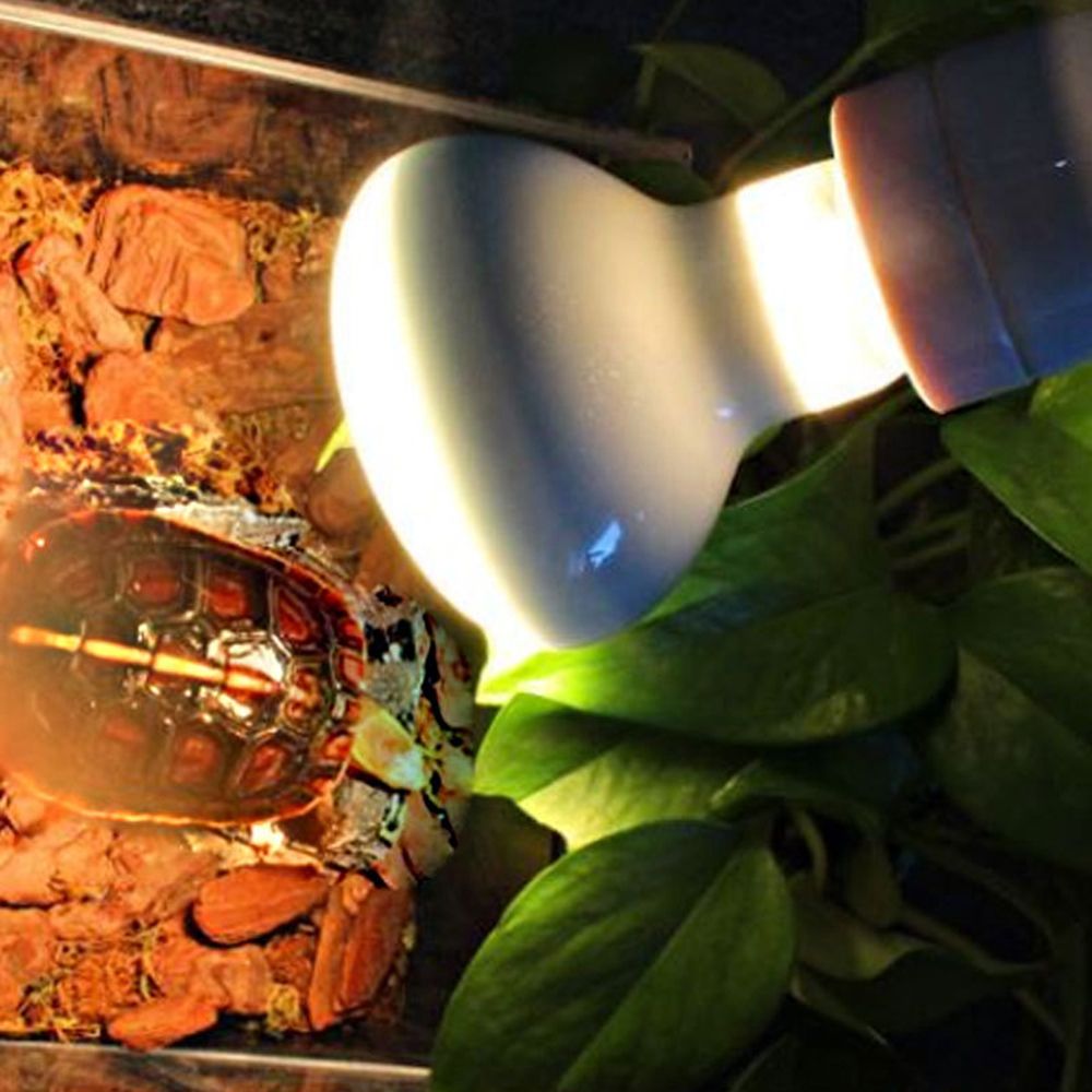 Lizard Heater Temperature Cont - огляд і ціна Basking Bulb Halogen