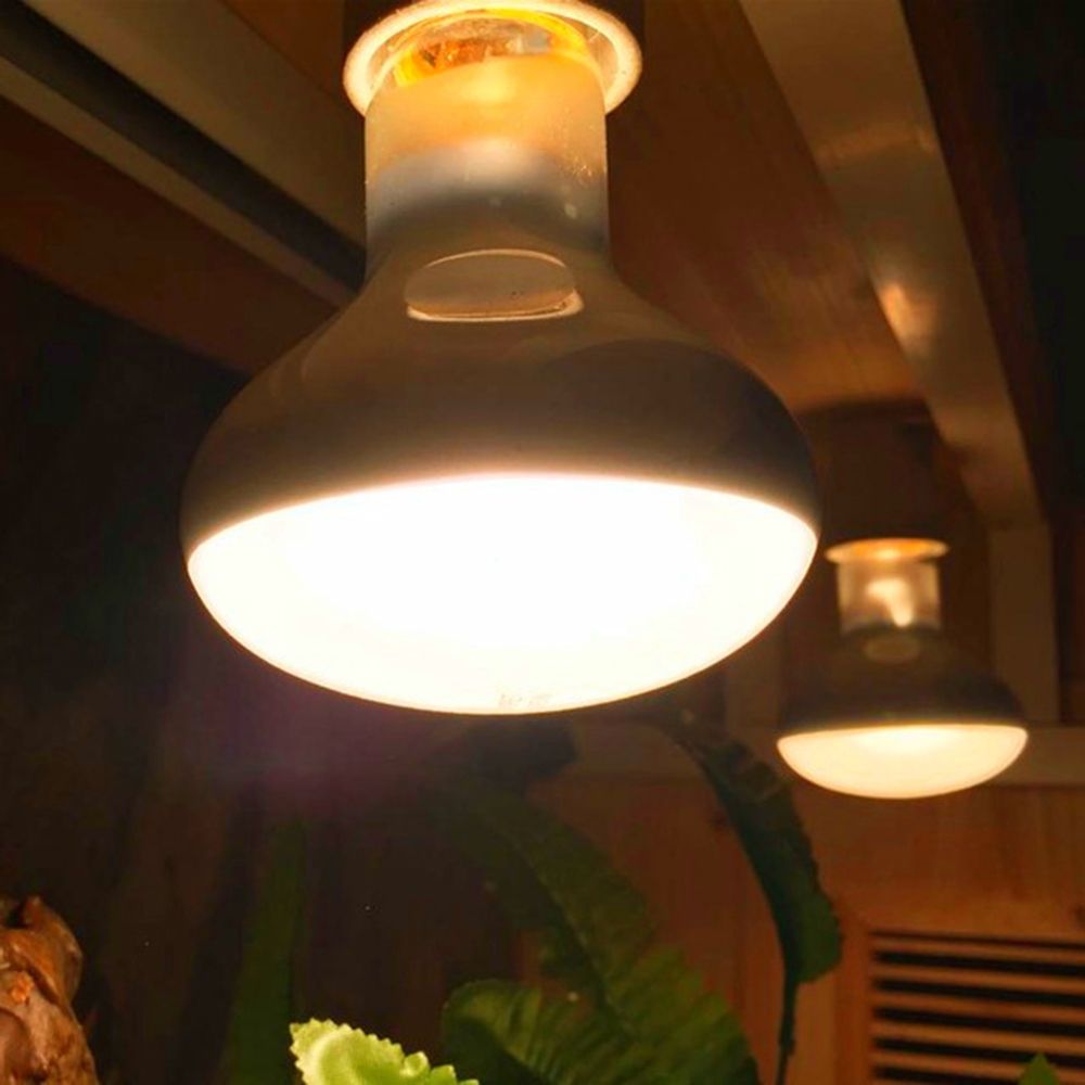 Lizard Heater Temperature Cont - огляд і ціна Basking Bulb Halogen