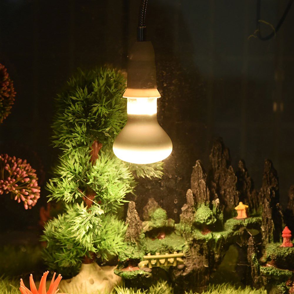 Amphibians Heater Heat Lamp UV - огляд і ціна Basking Bulb Halogen