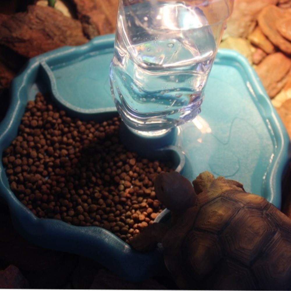 New Removable Reptile Feeder E - огляд і ціна Water Dish Reptile
