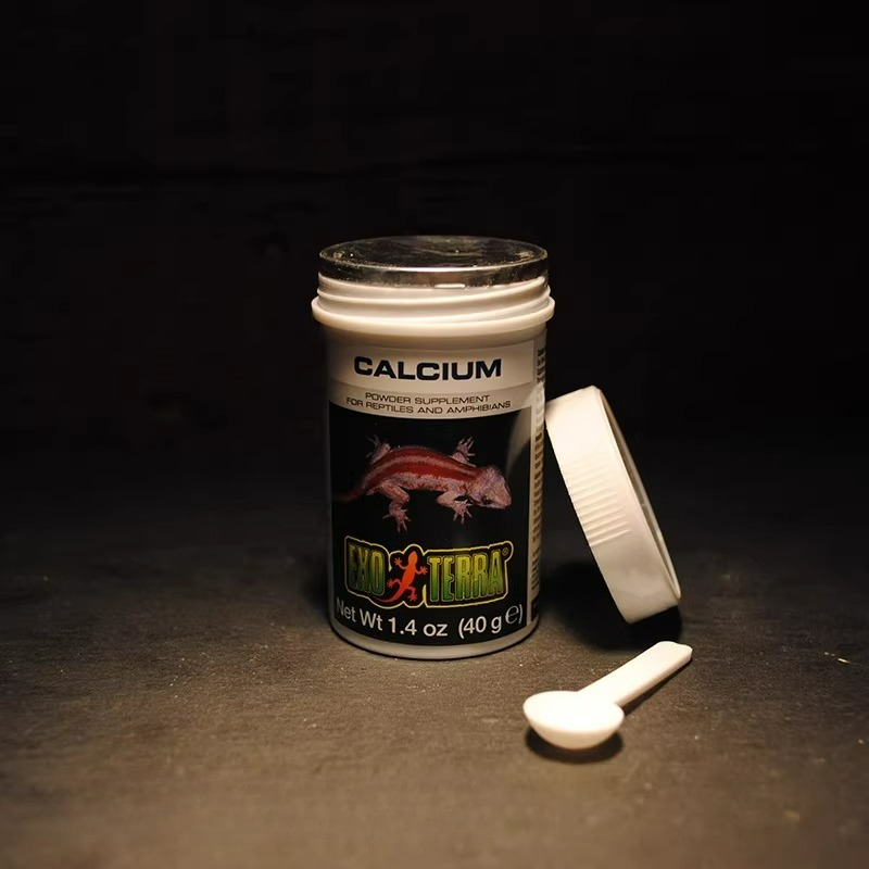 HAGEN Reptile Calcium Powder W - огляд і ціна Vitamin D3 Reptile