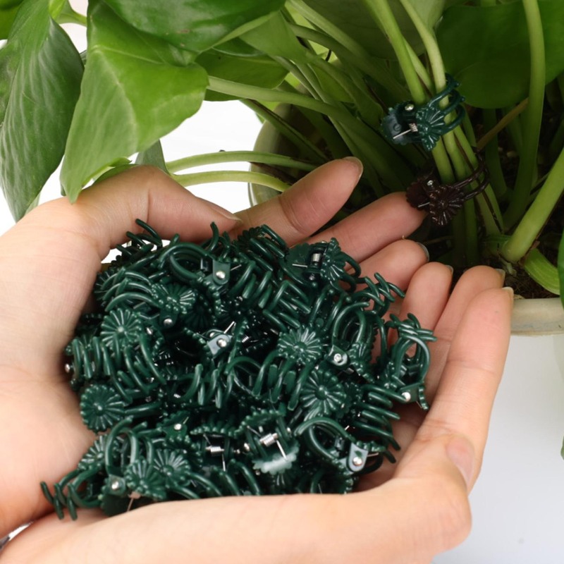 Wholesale Mini Plant Support C - огляд і ціна Vine Climbing Plastic