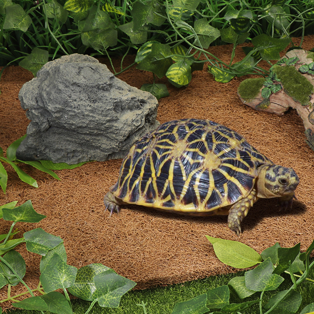 Coconut Substrate for Reptile  - огляд і ціна Substrate Coconut Fiber