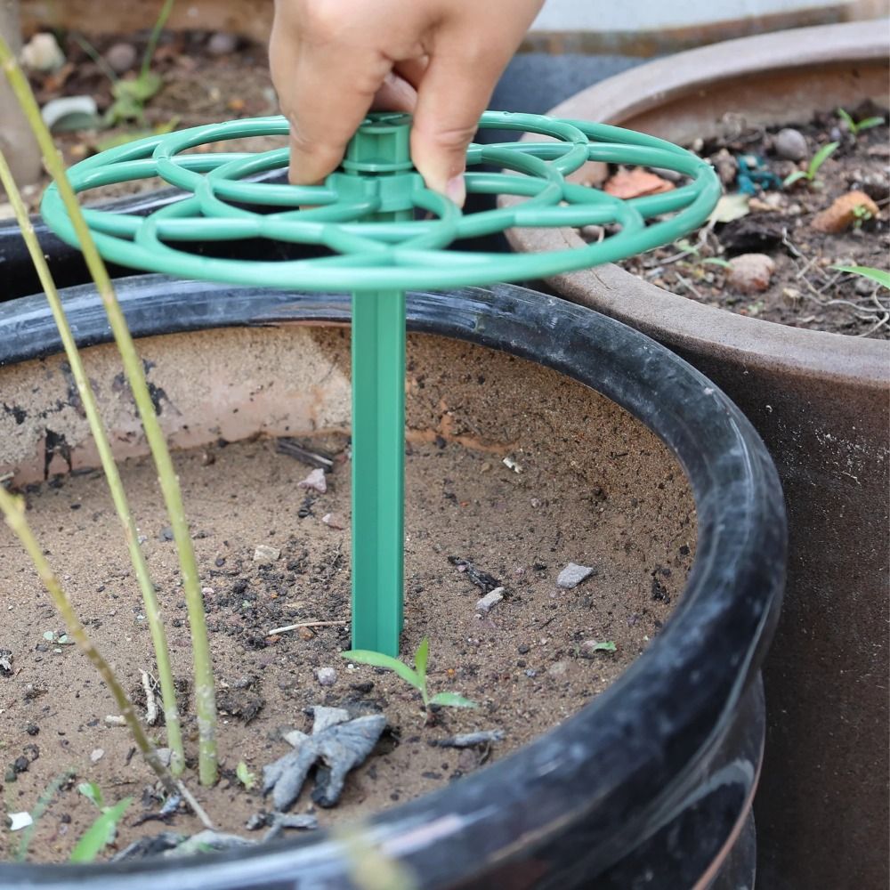 Durable S/M/L Bonsai Climbing  - огляд і ціна Vine Climbing Plastic