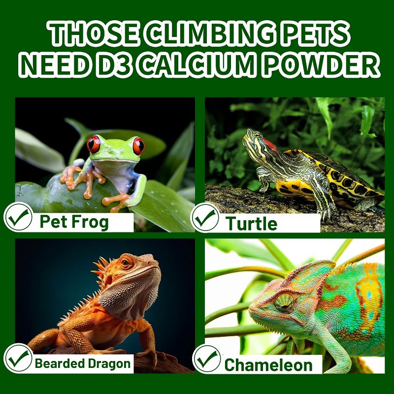 Crawling Pet Vitamin D3 Calciu - огляд і ціна Vitamin D3 Reptile