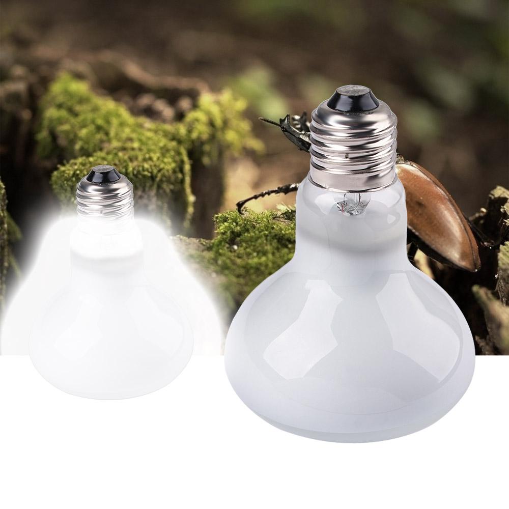 Turtle Heater Heat Lamp Reptil - огляд і ціна Basking Bulb Halogen