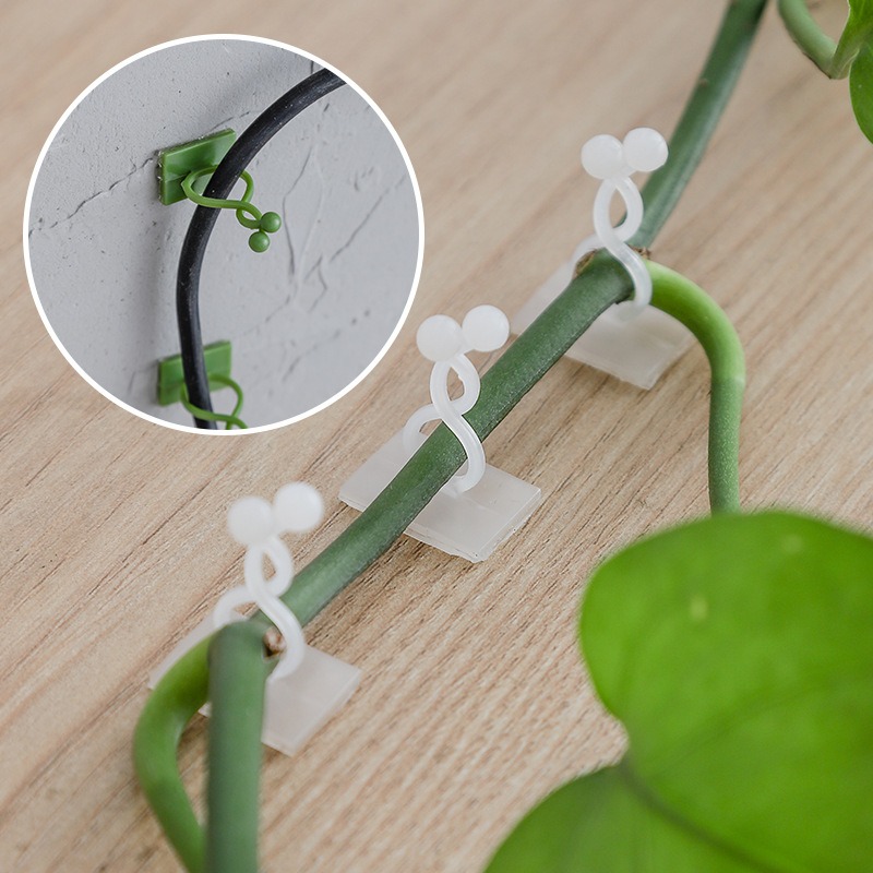 10Pcs Plant Wall Fixing Hooks  - огляд і ціна Vine Climbing Plastic