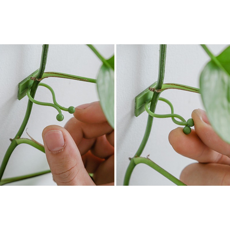 10Pcs Plant Wall Fixing Hooks  - огляд і ціна Vine Climbing Plastic