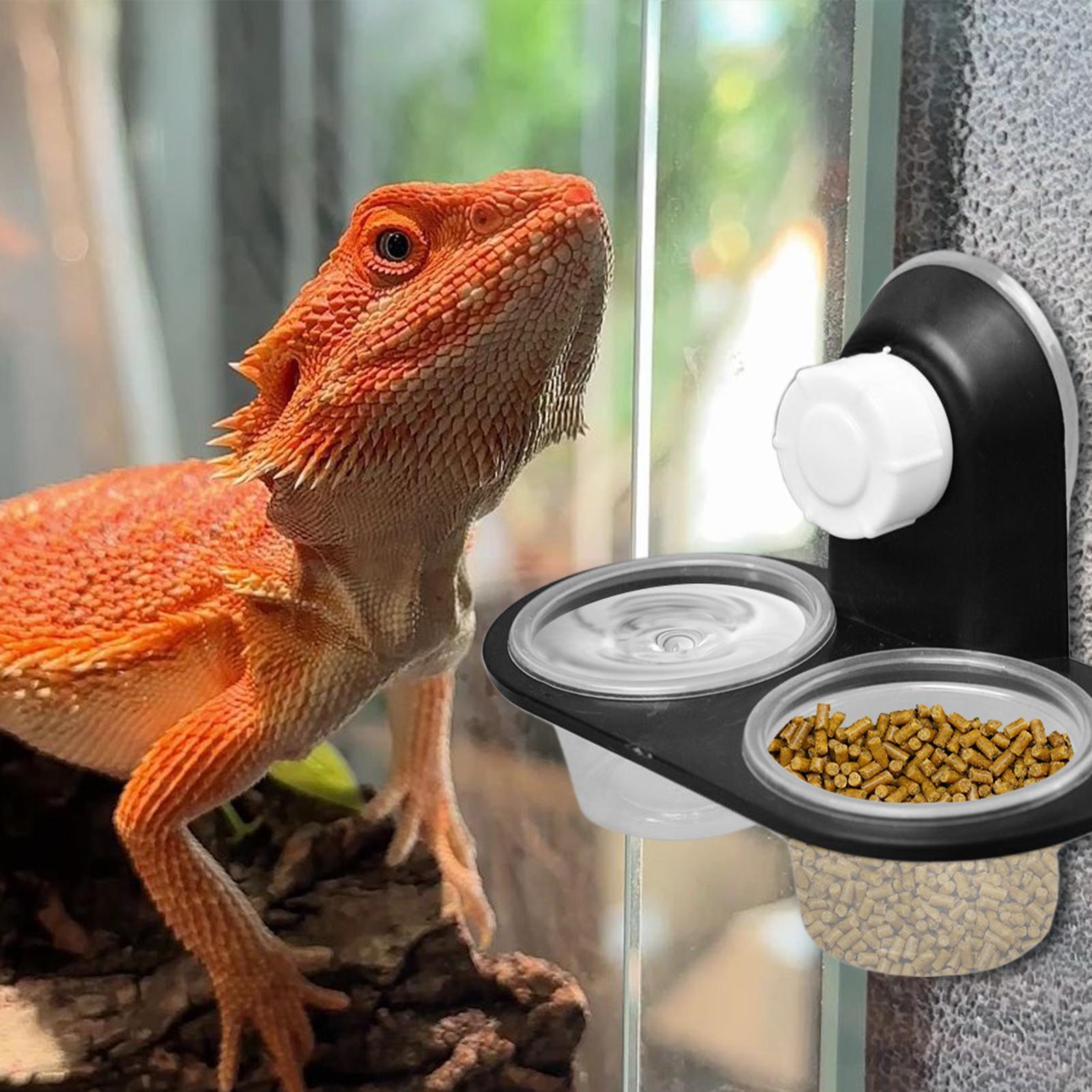 Gecko Food Dish Gecko Water Di - огляд і ціна Water Dish Reptile