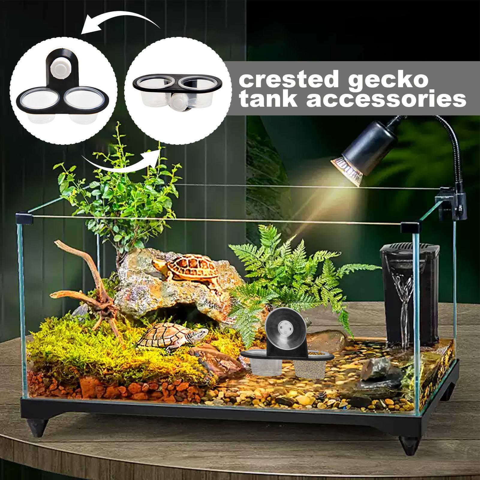Gecko Food Dish Gecko Water Di - огляд і ціна Water Dish Reptile
