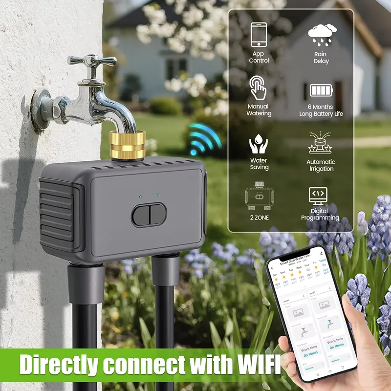WAP01 WiFi APP Control Dual Ho - огляд і ціна Timer Dual Outlet