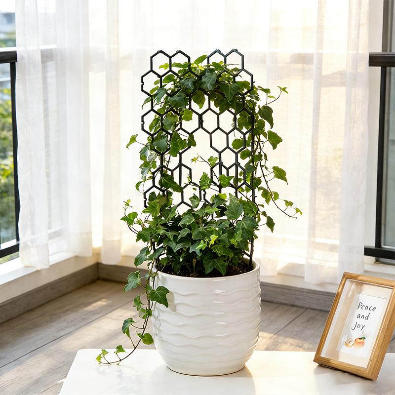 1/5Pcs Honeycomb Design Plant  - огляд і ціна Vine Climbing Plastic