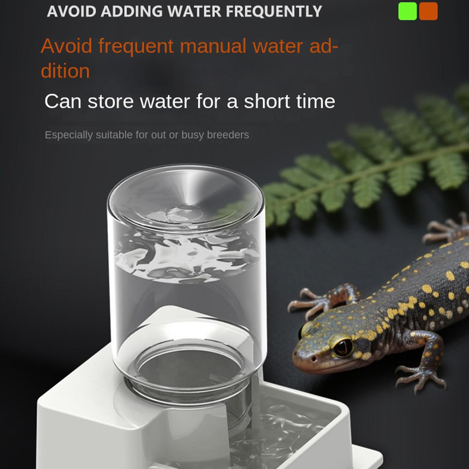 Bearded Dragon Water Fountain  - огляд і ціна Water Dish Reptile