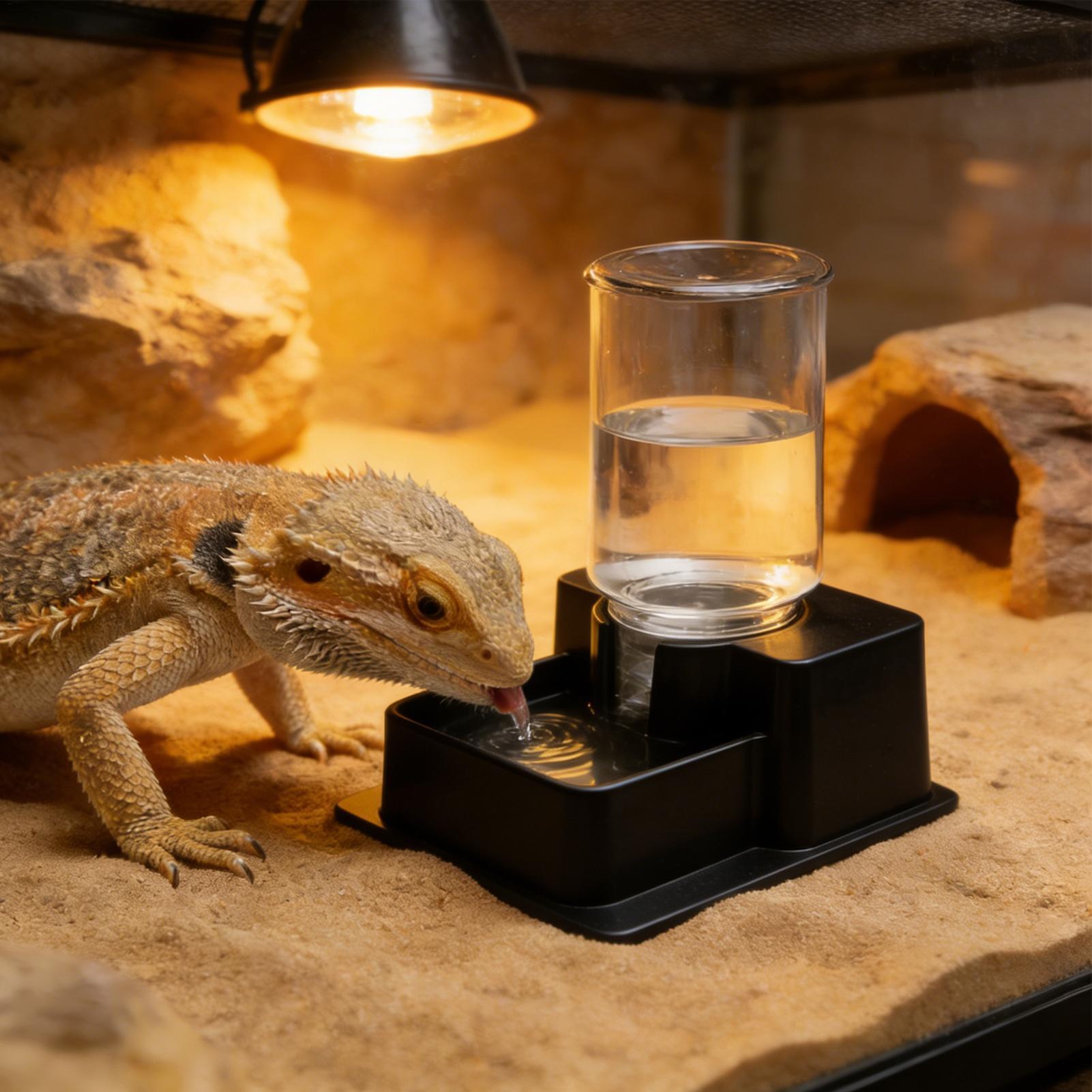 Bearded Dragon Water Fountain  - огляд і ціна Water Dish Reptile