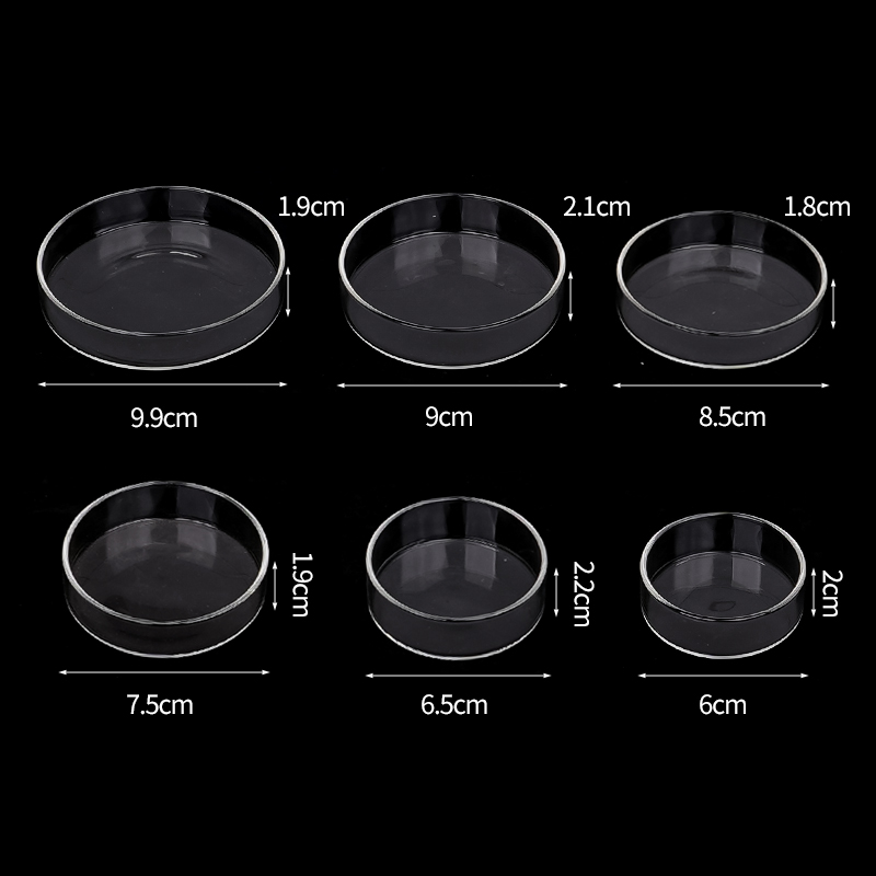 Shrimp Feeding Dish High Trans - огляд і ціна Water Dish Reptile