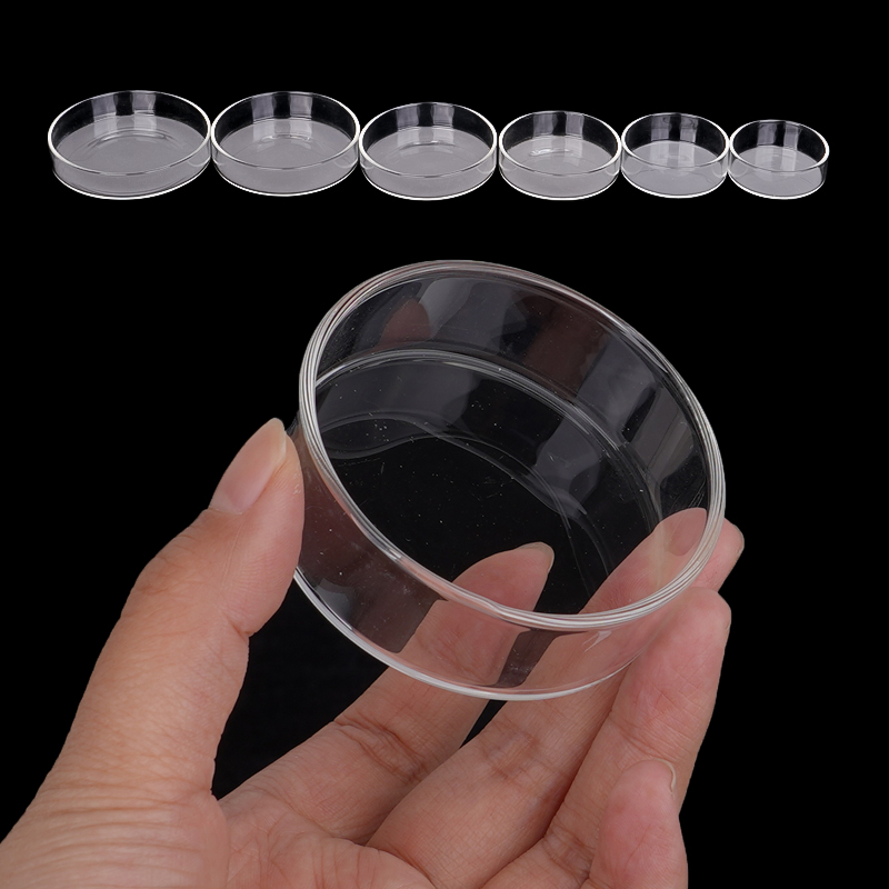 Shrimp Feeding Dish High Trans - огляд і ціна Water Dish Reptile