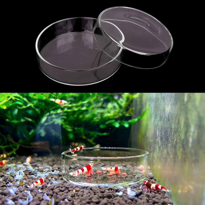 Shrimp Feeding Dish High Trans - огляд і ціна Water Dish Reptile
