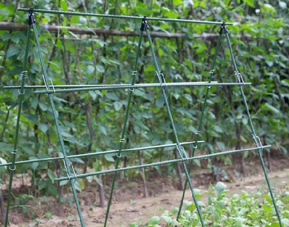 Diameter 8/11/16mm Plant Suppo - огляд і ціна Vine Climbing Plastic