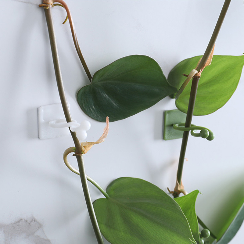 100pcs-Home Garden Plant Climb - огляд і ціна Vine Climbing Plastic