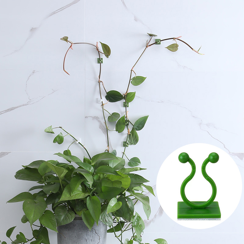 100pcs-Home Garden Plant Climb - огляд і ціна Vine Climbing Plastic