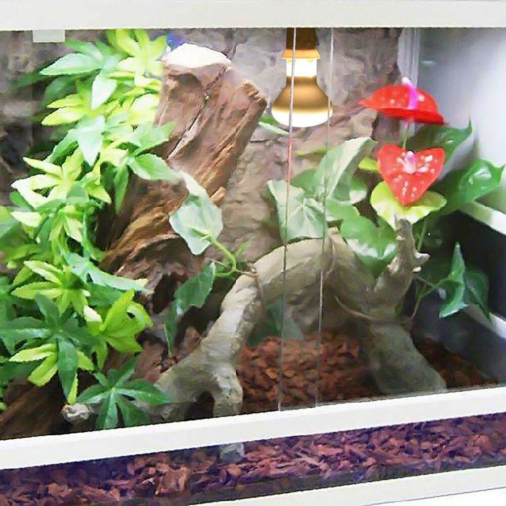 Turtle Temperature Controller  - огляд і ціна Basking Bulb Halogen