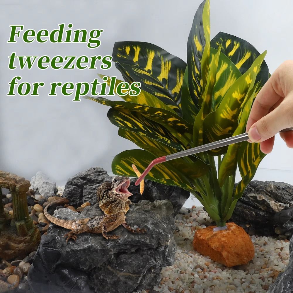 Stainless Steel Aquarium Feedi - огляд і ціна Feeding Tong Stainless