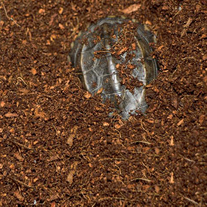 WAJABABY Ready-to-Use Coco Coi - огляд і ціна Substrate Coconut Fiber