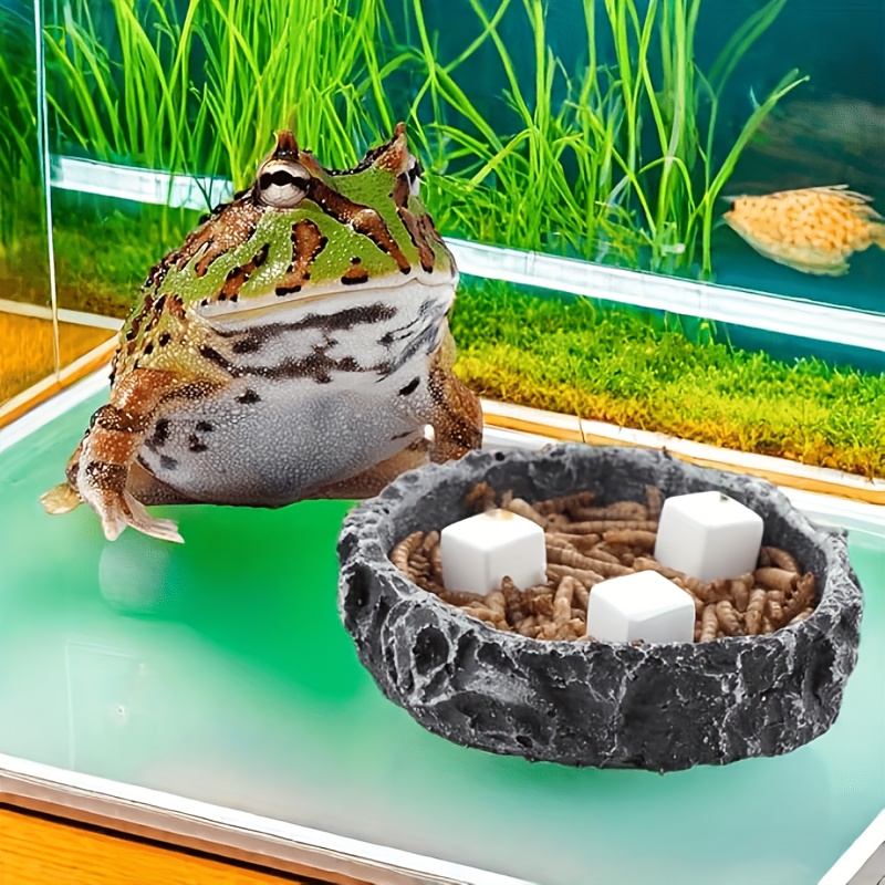6Pcs Fish Tank Calcium Block M - огляд і ціна Calcium Powder Reptile
