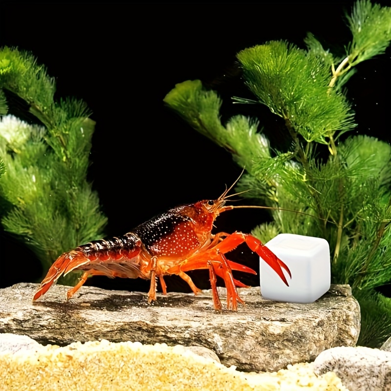 6Pcs Fish Tank Calcium Block M - огляд і ціна Calcium Powder Reptile
