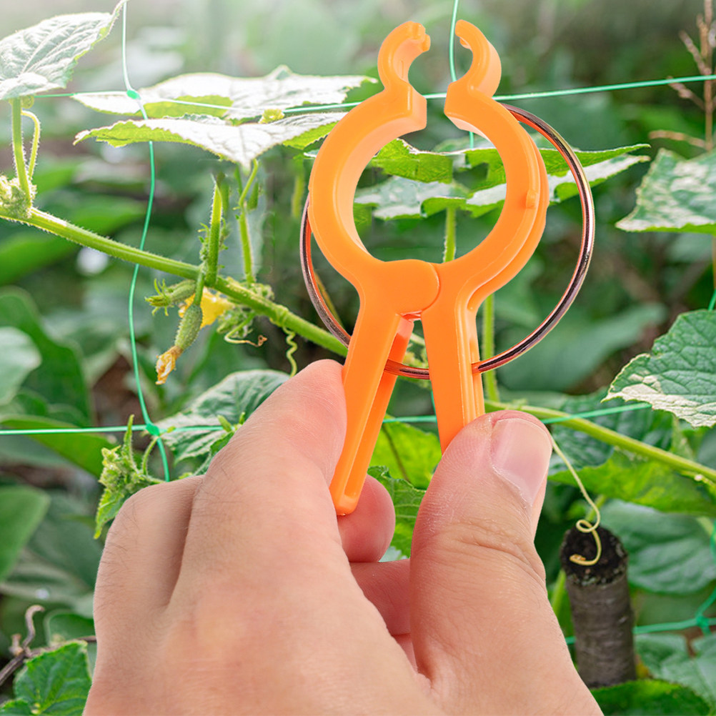 10Pcs Plant Fixing Clips Vine  - огляд і ціна Vine Climbing Plastic
