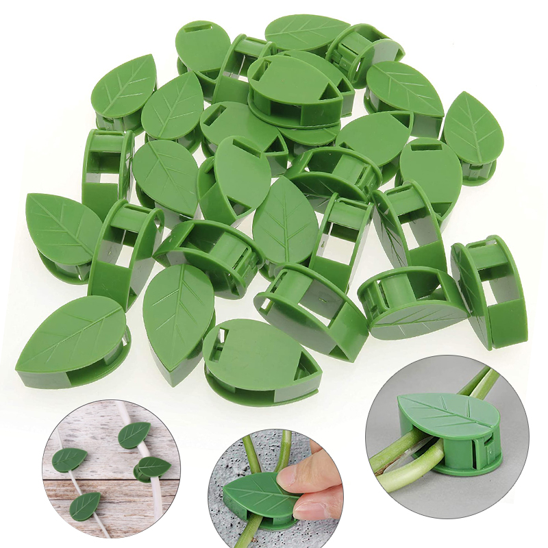 Invisible Plant Climbing Wall  - огляд і ціна Vine Climbing Plastic