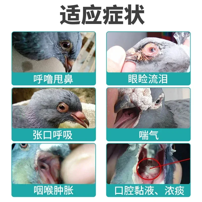 Parrots Meat Pigeons Chicken D - огляд і ціна Vitamin D3 Reptile
