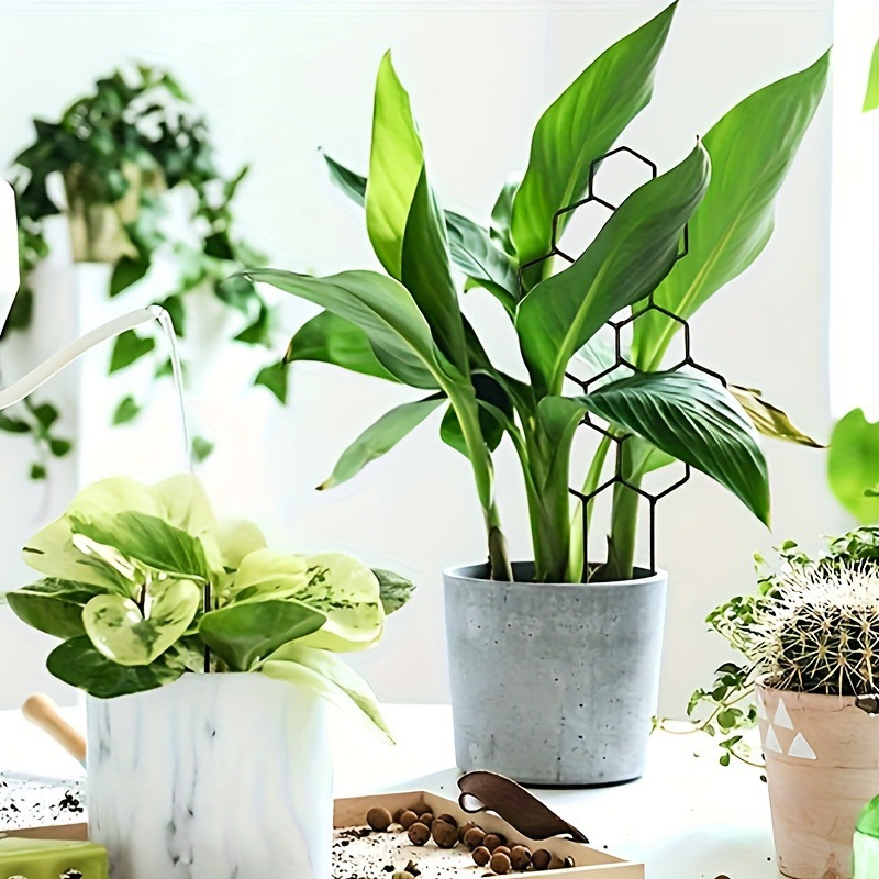 1PC Honeycomb Design Plant Tre - огляд і ціна Vine Climbing Plastic