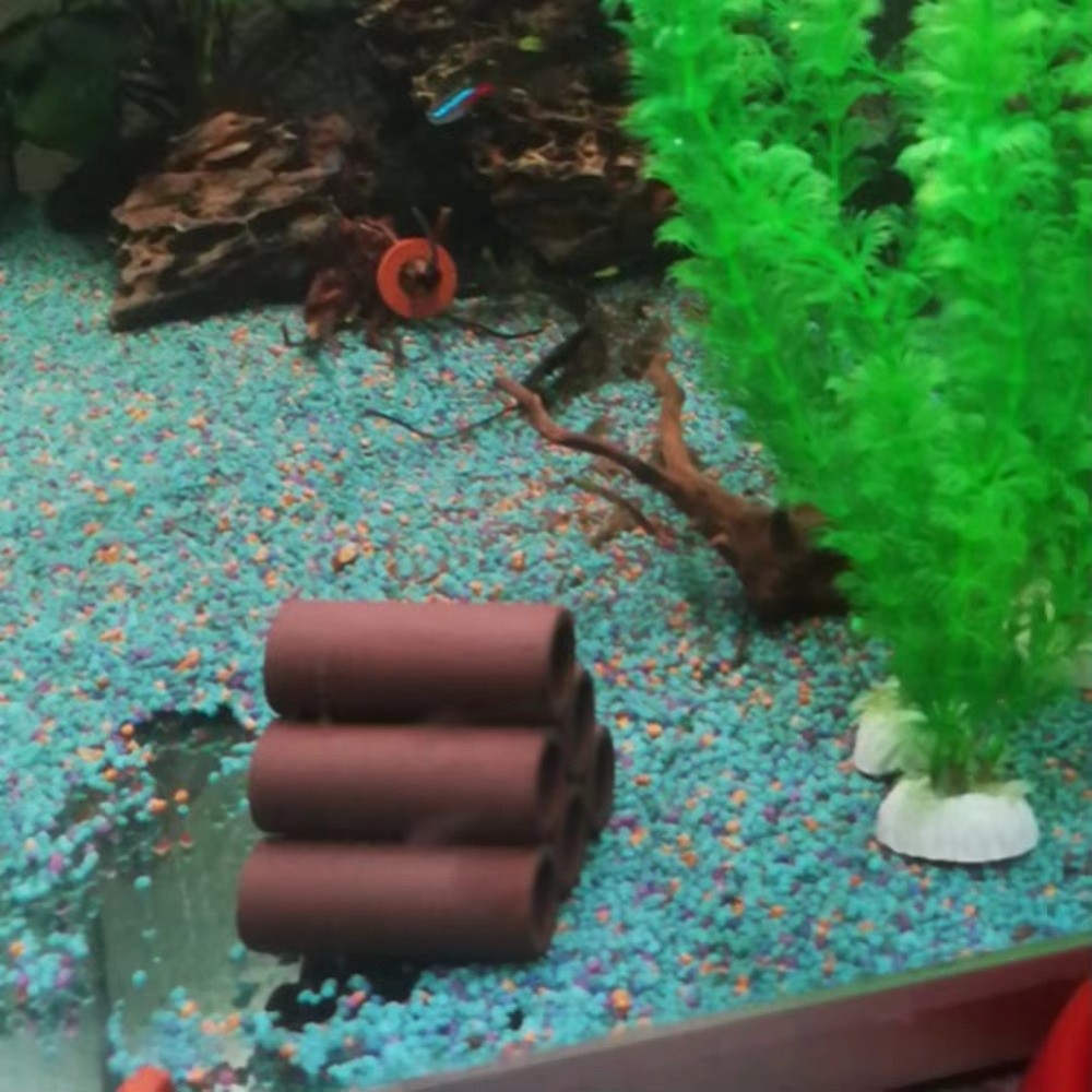 Playing Breeding Spawning Aqua - огляд і ціна Hide Cave Ceramic