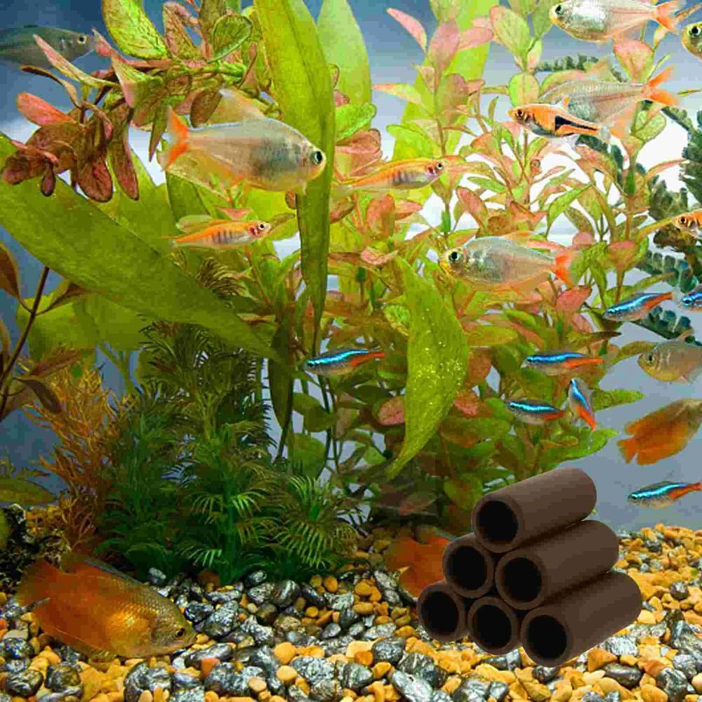 Playing Breeding Spawning Aqua - огляд і ціна Hide Cave Ceramic