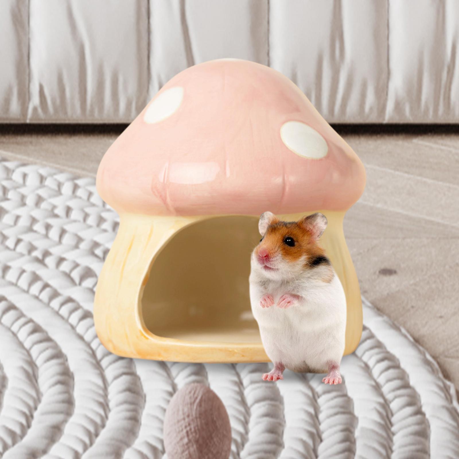 Ceramic Mushroom Hamster Hideo - огляд і ціна Hide Cave Ceramic