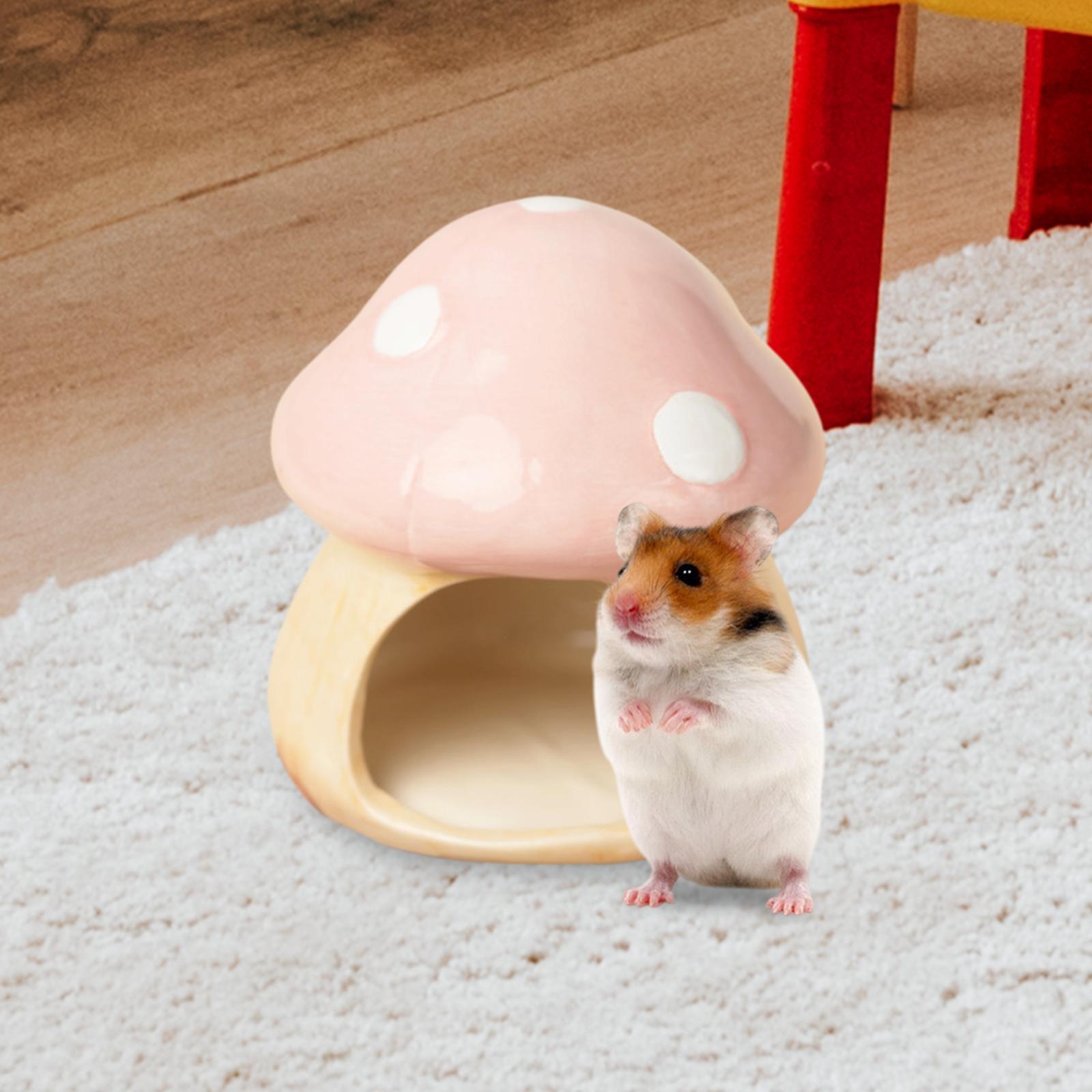Ceramic Mushroom Hamster Hideo - огляд і ціна Hide Cave Ceramic