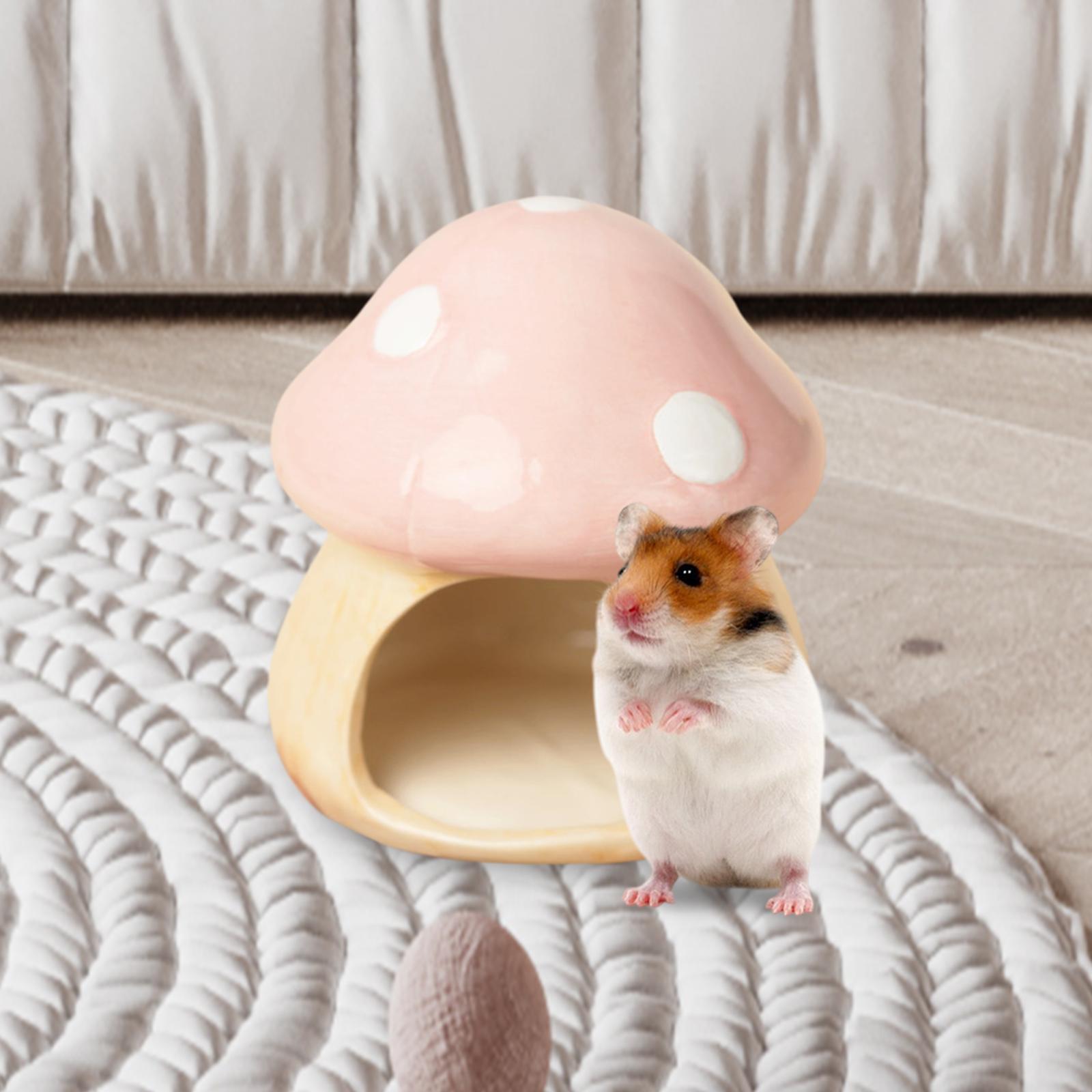 Ceramic Mushroom Hamster Hideo - огляд і ціна Hide Cave Ceramic