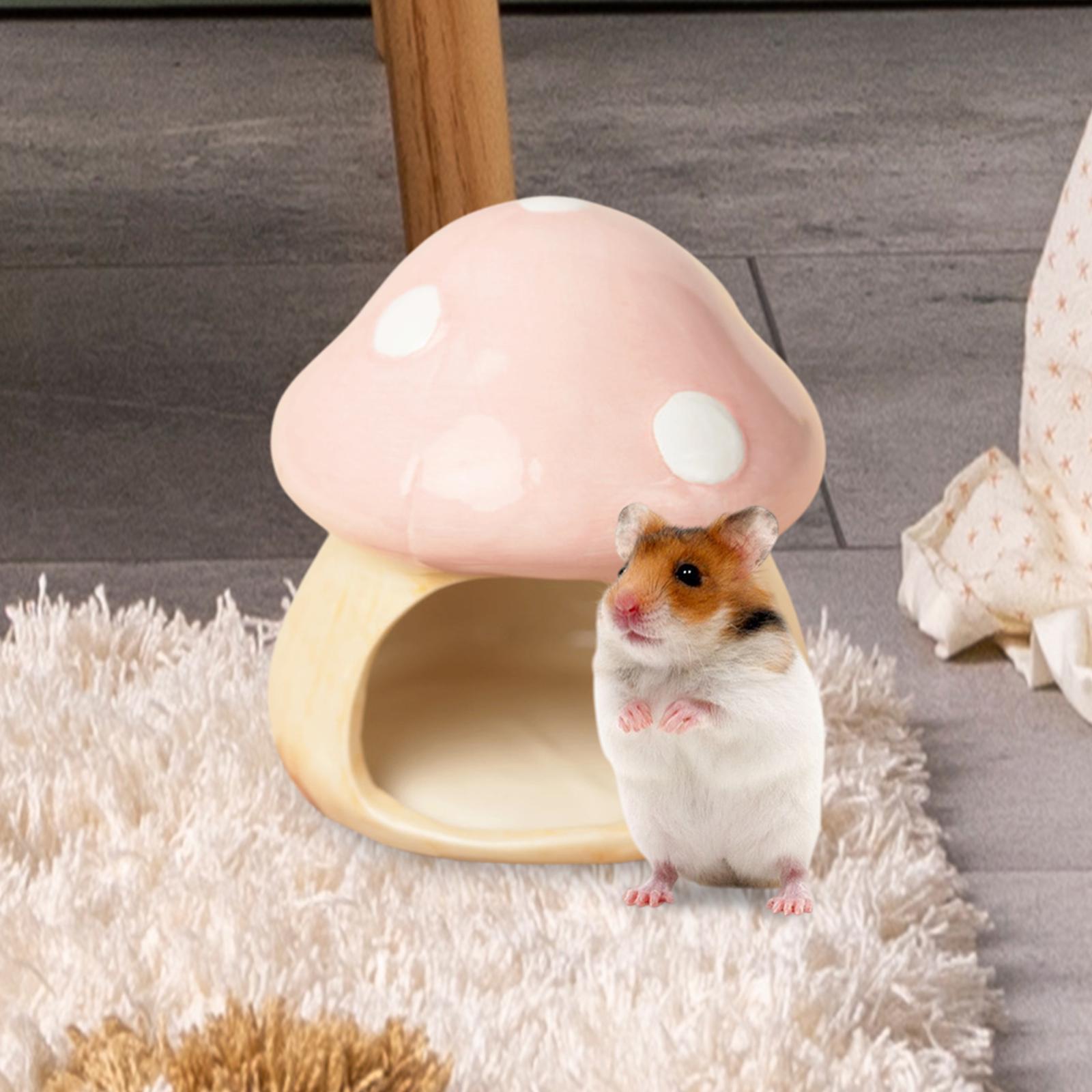 Ceramic Mushroom Hamster Hideo - огляд і ціна Hide Cave Ceramic