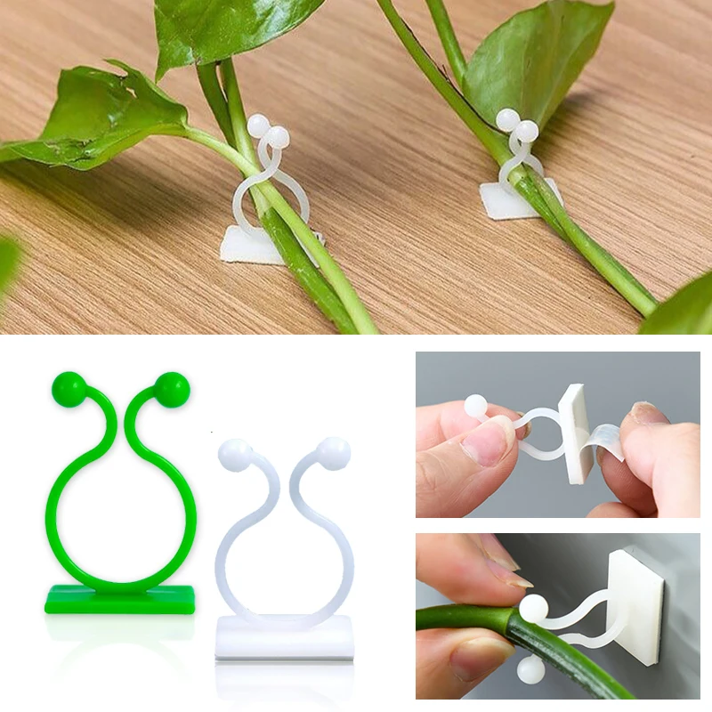 Plant Climbing Wall Self-Adhes - огляд і ціна Vine Climbing Plastic