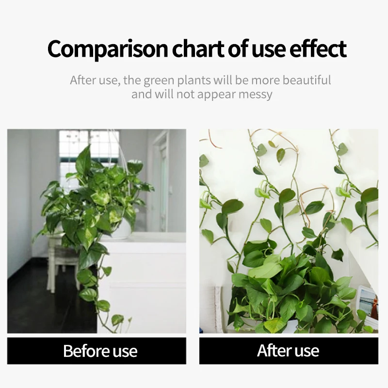 Plant Climbing Wall Self-Adhes - огляд і ціна Vine Climbing Plastic